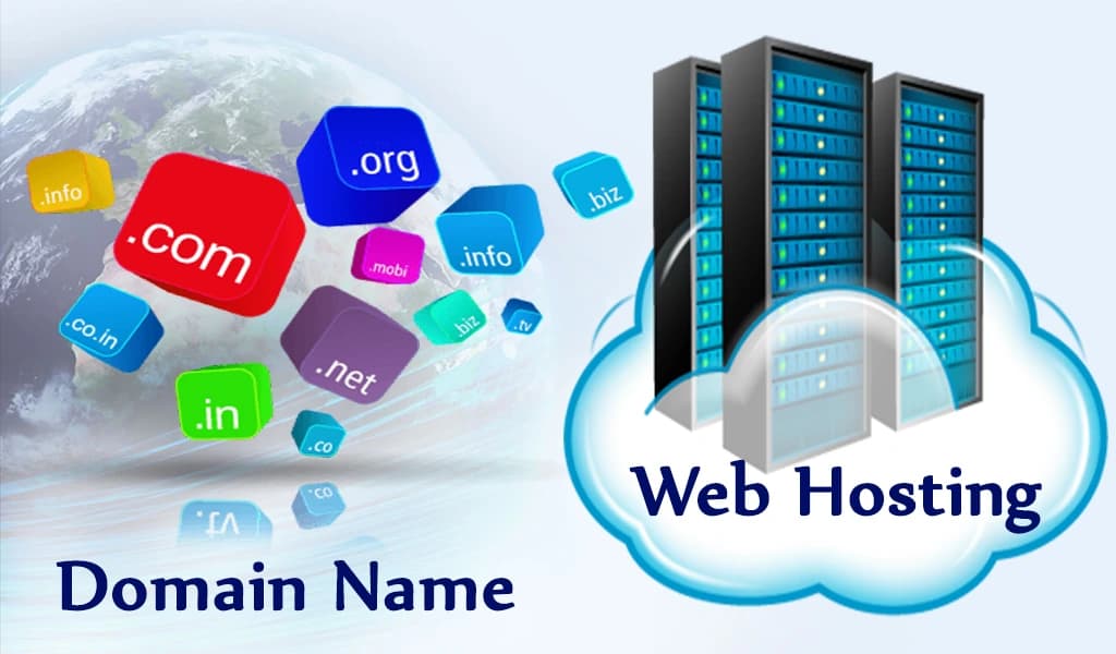 Domain & Hosting preview